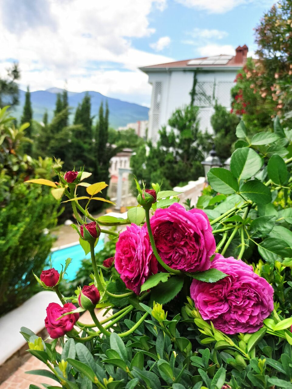 Гостиница Бон Мезон Алушта-13