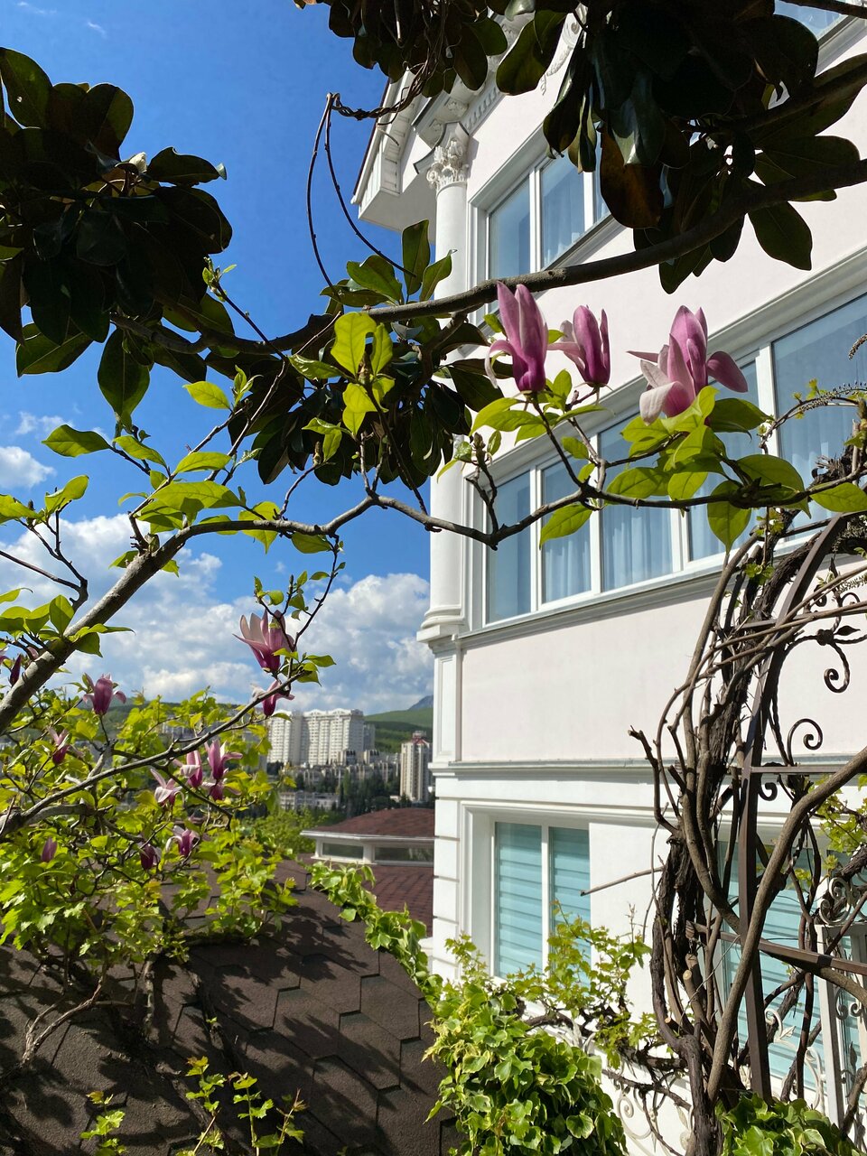 Гостиница Бон Мезон Алушта-23