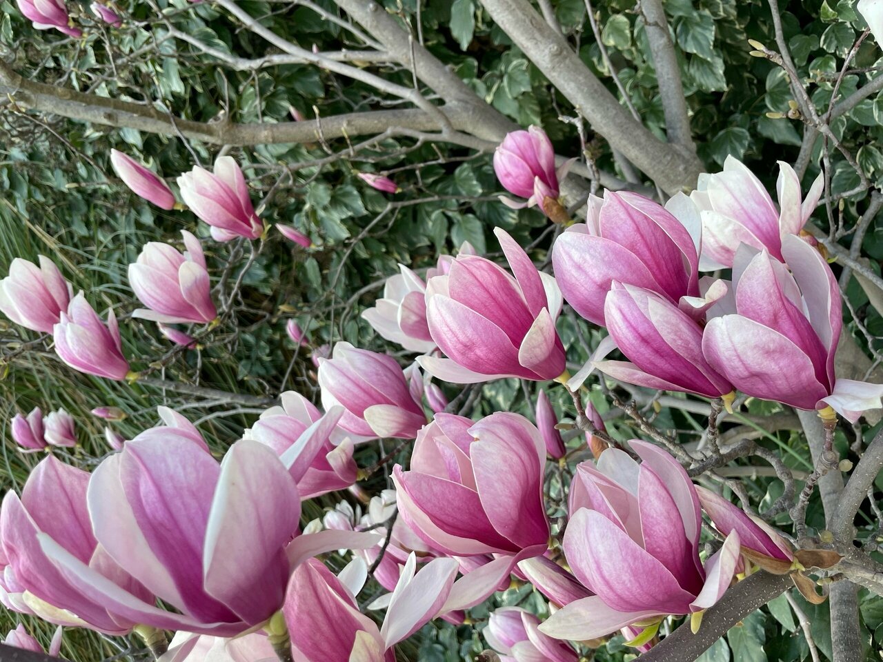 Гостиница Бон Мезон Алушта-40