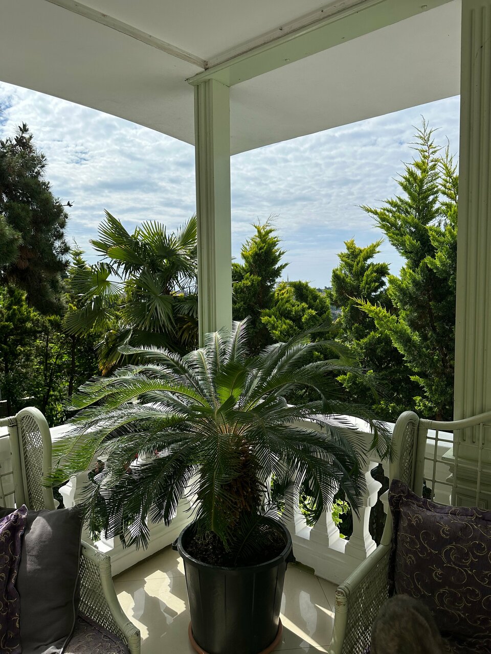 Гостиница Бон Мезон Алушта-42