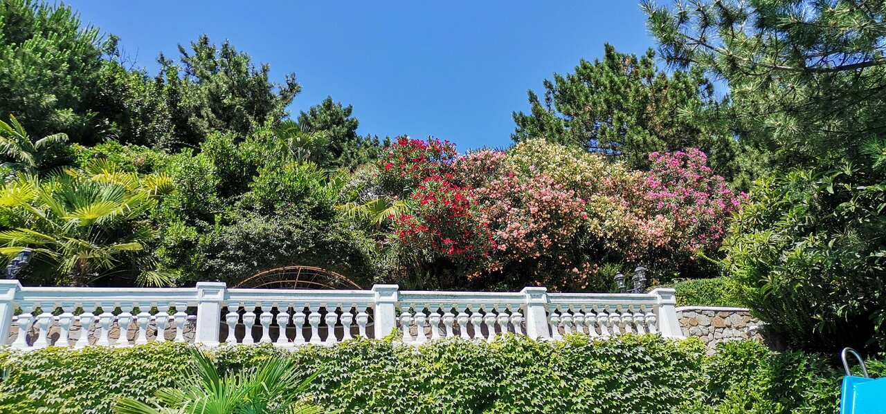 Гостиница Бон Мезон Алушта-110