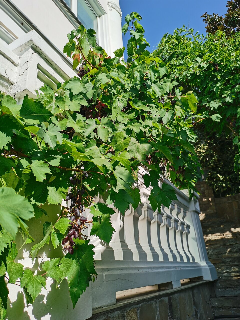 Гостиница Бон Мезон Алушта-57