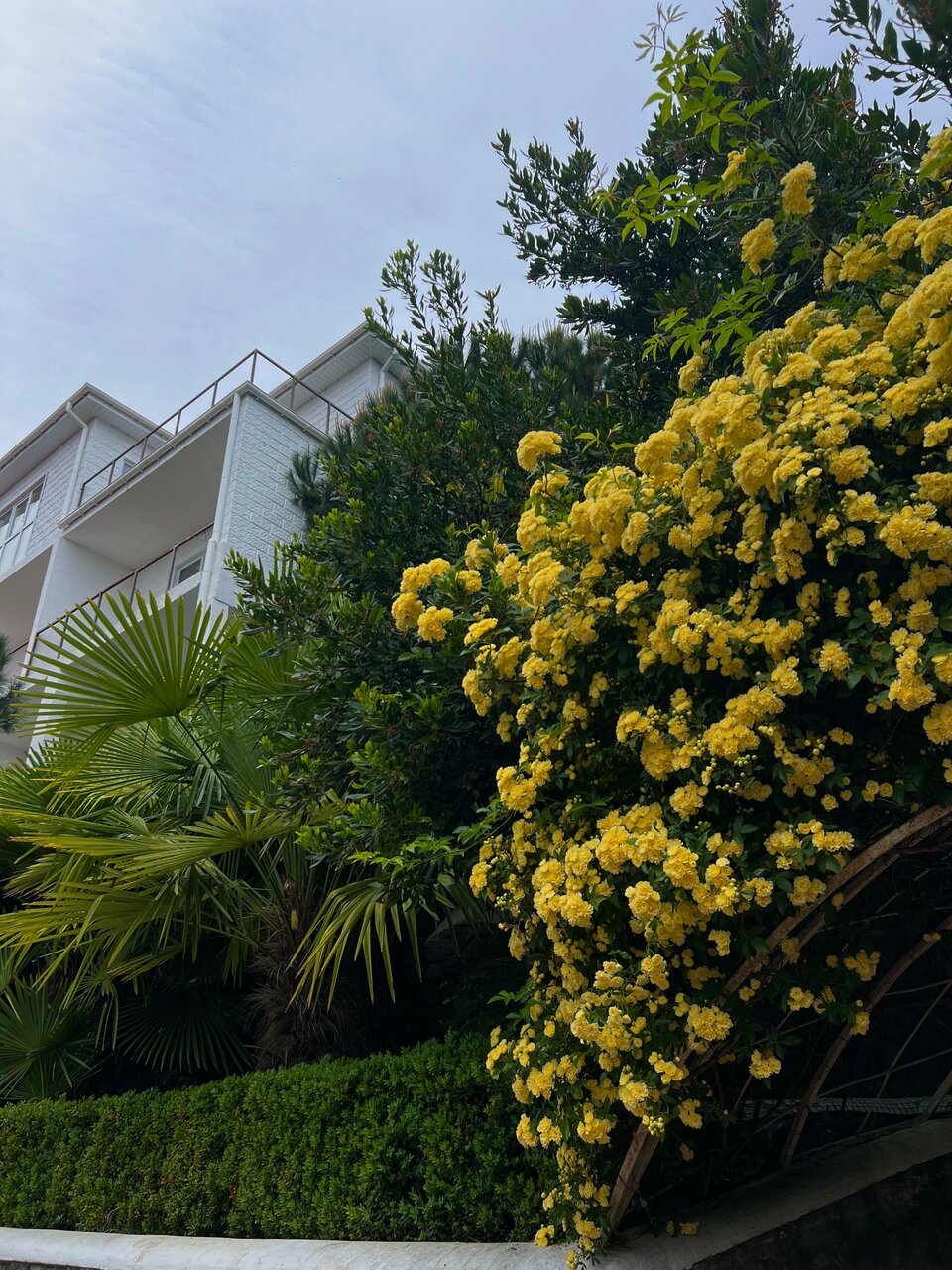 Гостиница Бон Мезон Алушта-93