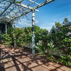 Гостиница Бон Мезон Алушта-52