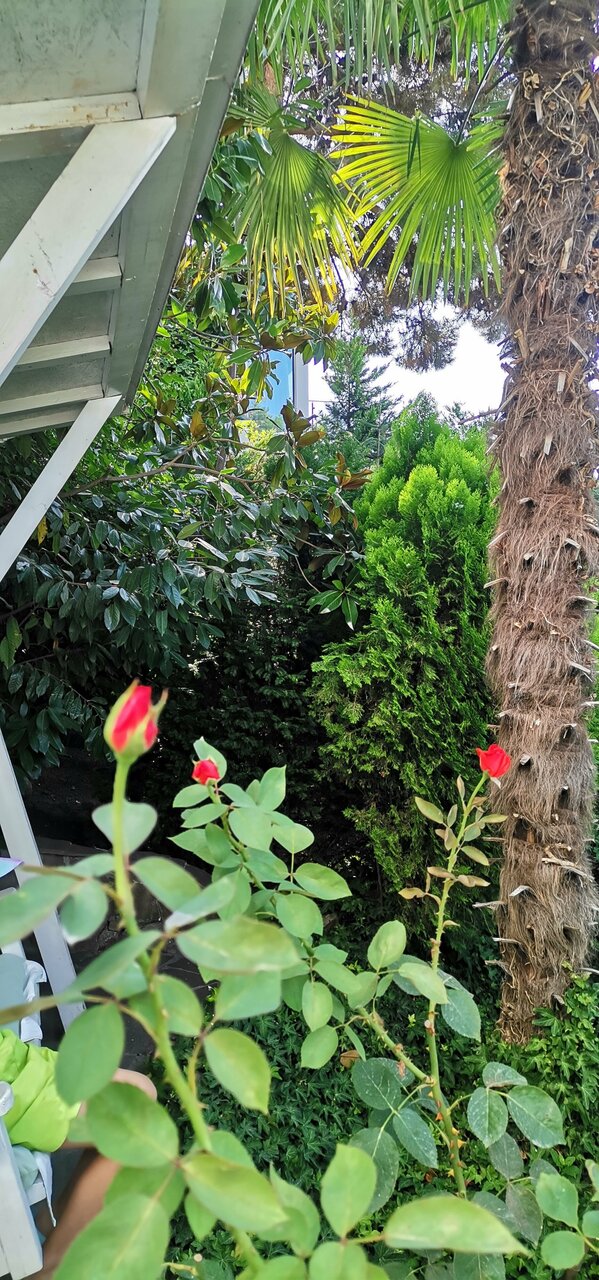 Гостиница Бон Мезон Алушта-129