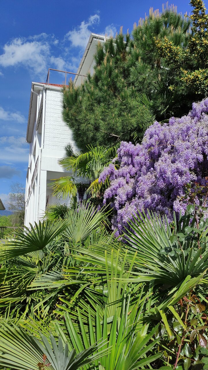 Гостиница Бон Мезон Алушта-100