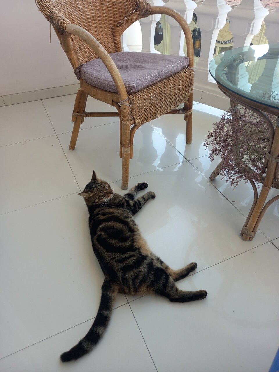 Гостиница Бон Мезон Алушта-122