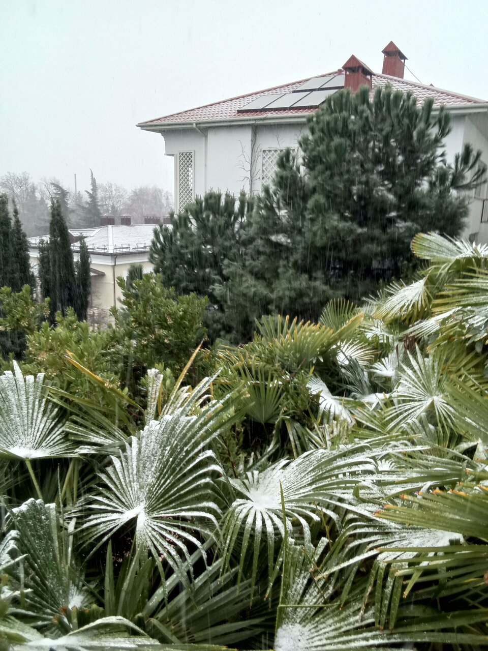 Гостиница Бон Мезон Алушта-54