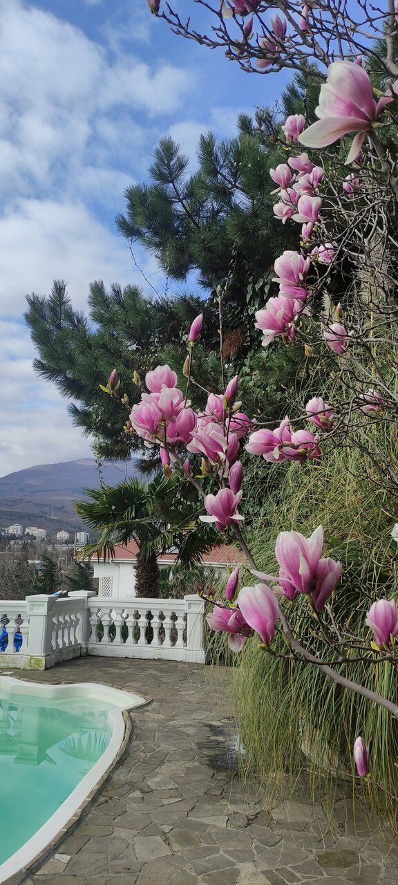 Гостиница Бон Мезон Алушта-65